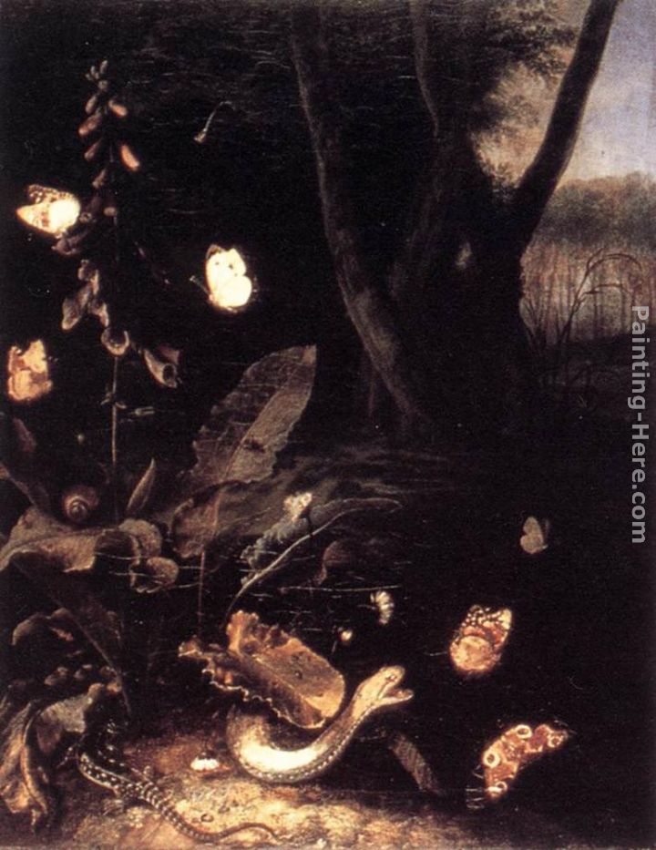 Otto Marseus Van Schrieck Still-life with Plants and Reptiles